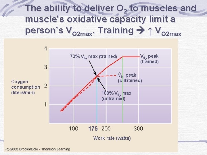 The ability to deliver O 2 to muscles and muscle’s oxidative capacity limit a