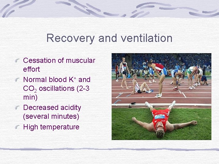 Recovery and ventilation Cessation of muscular effort Normal blood K+ and CO 2 oscillations