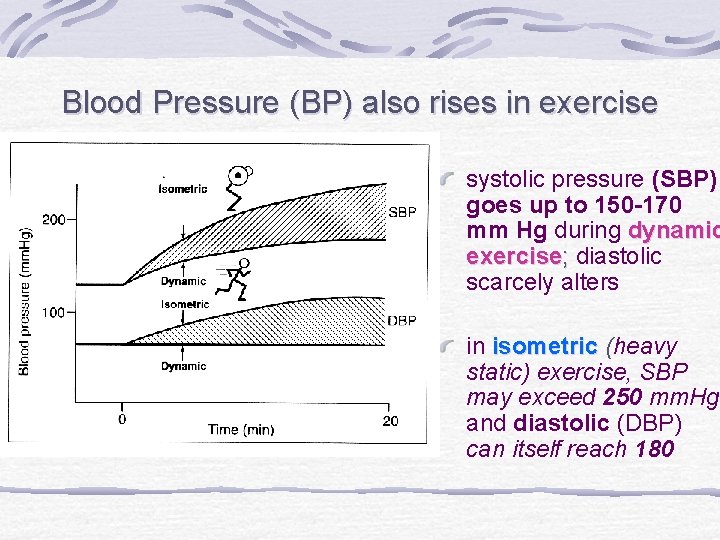 Blood Pressure (BP) also rises in exercise systolic pressure (SBP) goes up to 150