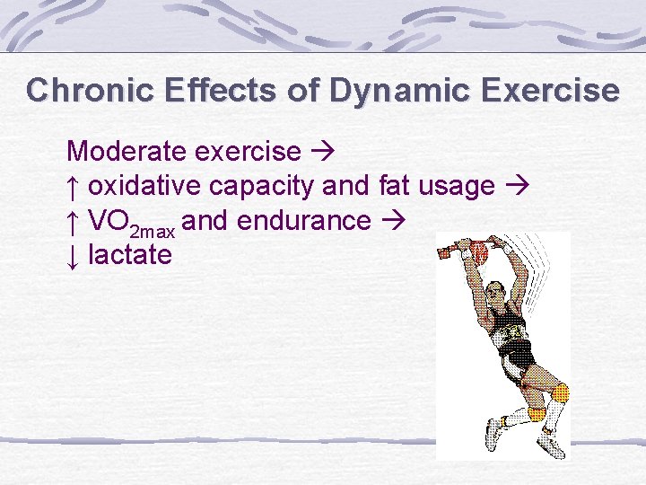 Chronic Effects of Dynamic Exercise Moderate exercise ↑ oxidative capacity and fat usage ↑