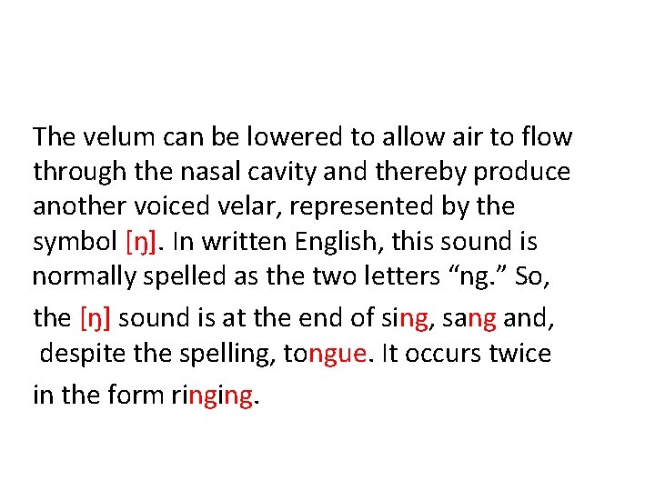 The velum can be lowered to allow air to flow through the nasal cavity