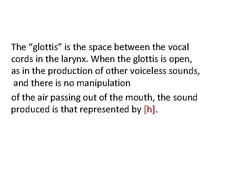 The “glottis” is the space between the vocal cords in the larynx. When the