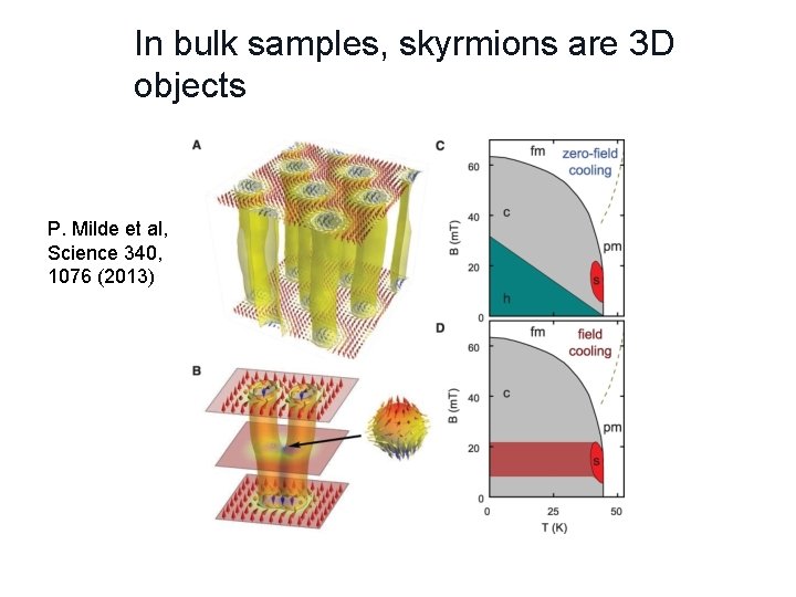 In bulk samples, skyrmions are 3 D objects P. Milde et al, Science 340,