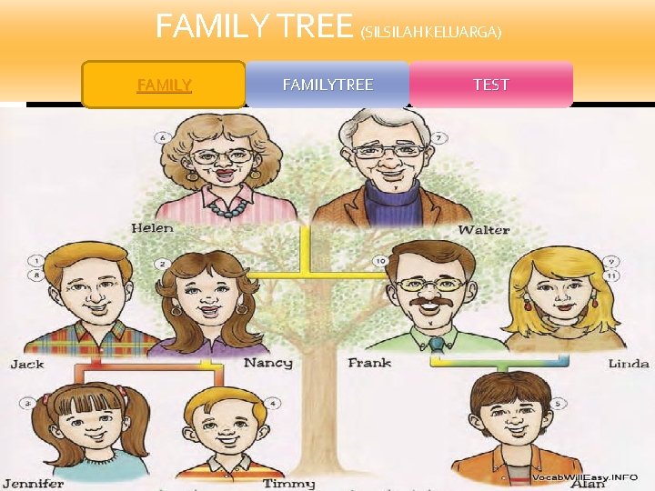 FAMILY TREE (SILSILAH KELUARGA) FAMILYTREE TEST 