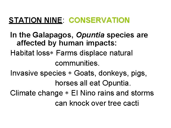 STATION NINE: CONSERVATION In the Galapagos, Opuntia species are affected by human impacts: Habitat