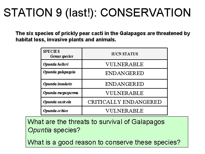 STATION 9 (last!): CONSERVATION The six species of prickly pear cacti in the Galapagos