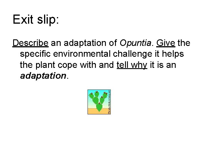 Exit slip: Describe an adaptation of Opuntia. Give the specific environmental challenge it helps