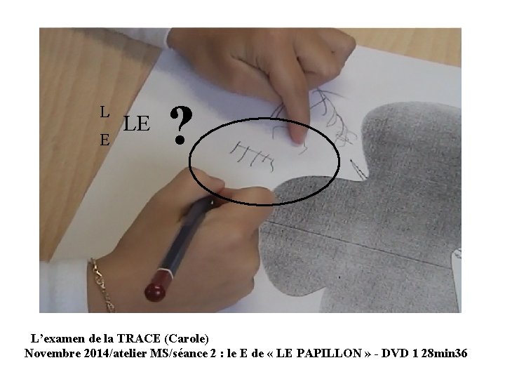 L E LE ? L’examen de la TRACE (Carole) Novembre 2014/atelier MS/séance 2 :