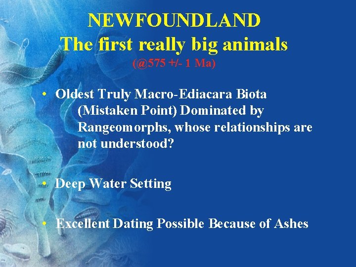 NEWFOUNDLAND The first really big animals (@575 +/- 1 Ma) • Oldest Truly Macro-Ediacara