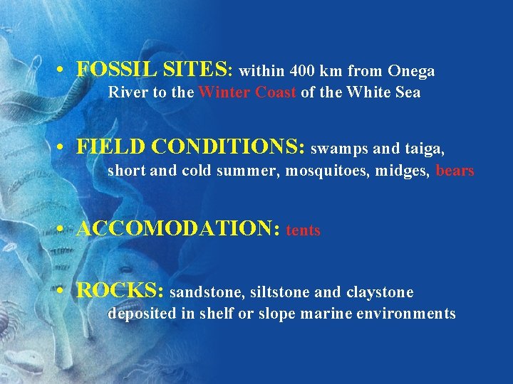  • FOSSIL SITES: within 400 km from Onega River to the Winter Coast