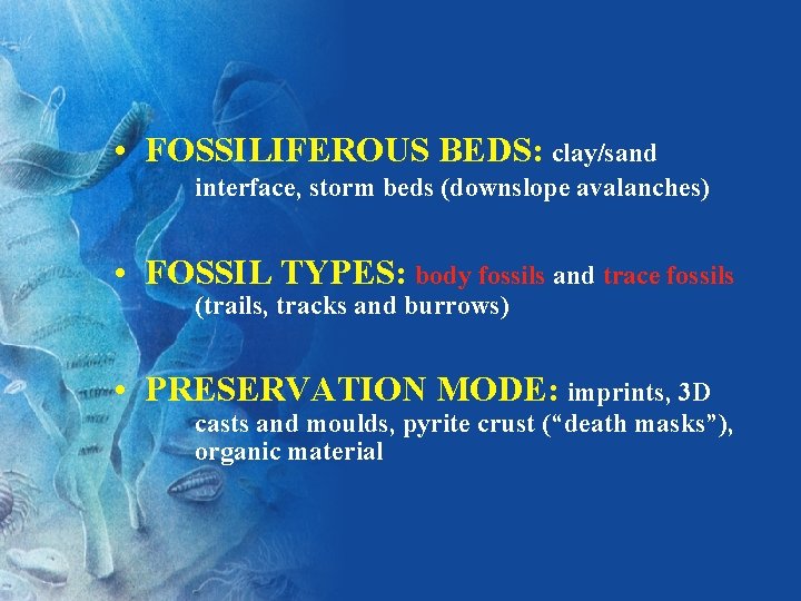  • FOSSILIFEROUS BEDS: clay/sand interface, storm beds (downslope avalanches) • FOSSIL TYPES: body