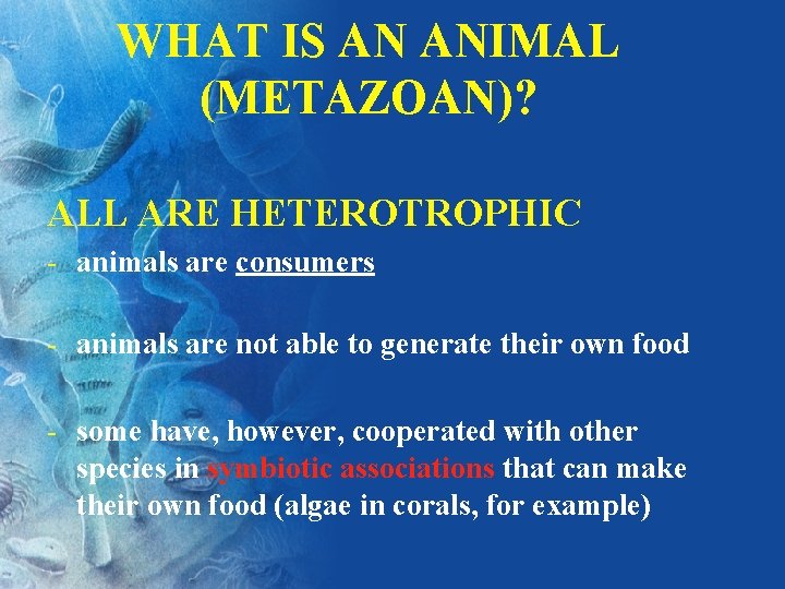 WHAT IS AN ANIMAL (METAZOAN)? ALL ARE HETEROTROPHIC - animals are consumers - animals