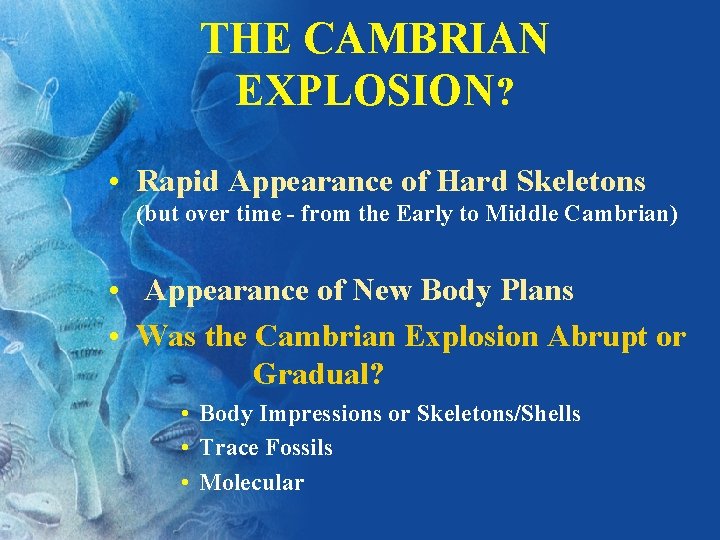 THE CAMBRIAN EXPLOSION? • Rapid Appearance of Hard Skeletons (but over time - from