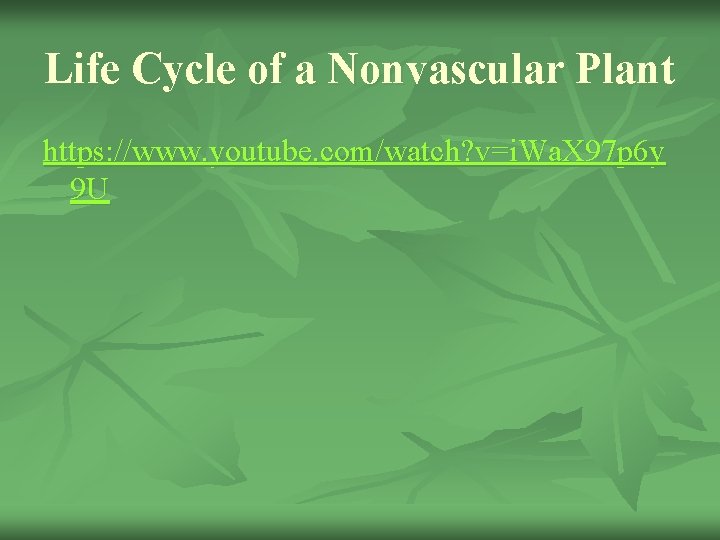 Life Cycle of a Nonvascular Plant https: //www. youtube. com/watch? v=i. Wa. X 97
