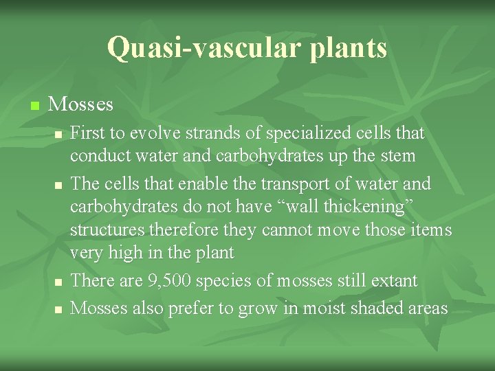 Quasi-vascular plants n Mosses n n First to evolve strands of specialized cells that