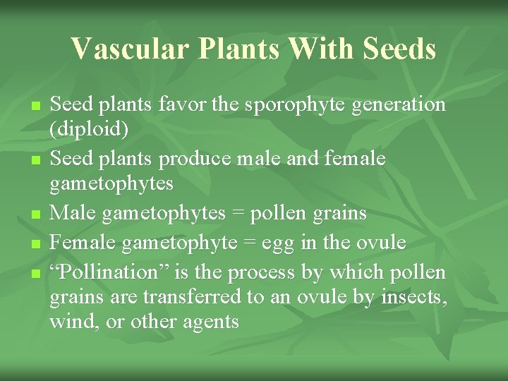 Vascular Plants With Seeds n n n Seed plants favor the sporophyte generation (diploid)