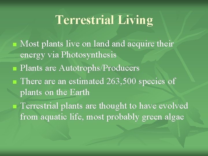 Terrestrial Living n n Most plants live on land acquire their energy via Photosynthesis