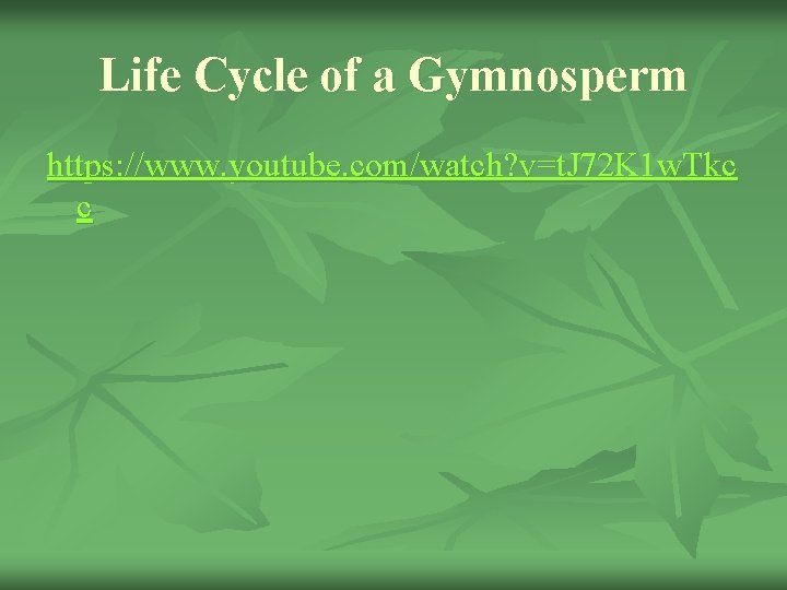 Life Cycle of a Gymnosperm https: //www. youtube. com/watch? v=t. J 72 K 1