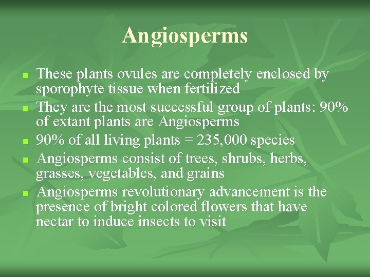 Angiosperms n n n These plants ovules are completely enclosed by sporophyte tissue when