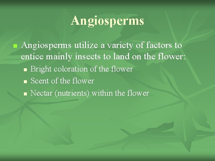 Angiosperms n Angiosperms utilize a variety of factors to entice mainly insects to land