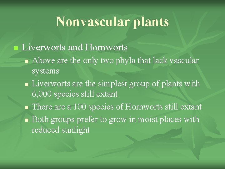 Nonvascular plants n Liverworts and Hornworts n n Above are the only two phyla