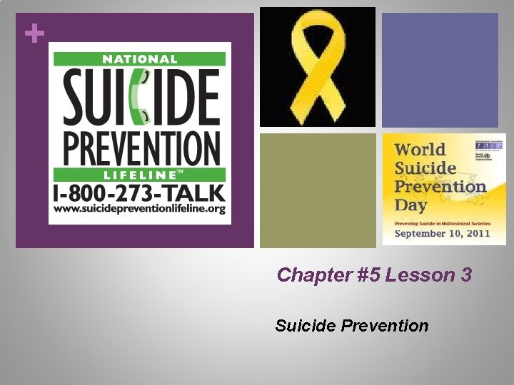 + Chapter #5 Lesson 3 Suicide Prevention 