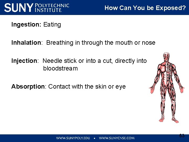 How Can You be Exposed? Ingestion: Eating How Can You be Exposed? Inhalation: Breathing