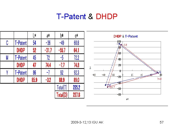 T-Patent & DHDP 2009 -3 -12, 13 IGU AK 57 