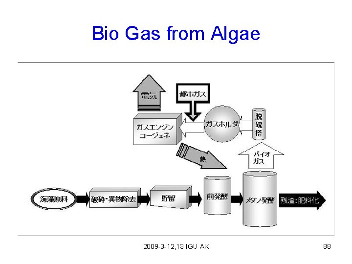 Bio Gas from Algae 2009 -3 -12, 13 IGU AK 88 