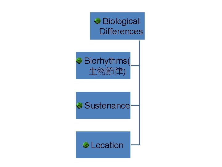 Biological Differences Biorhythms( 生物節律) Sustenance Location 