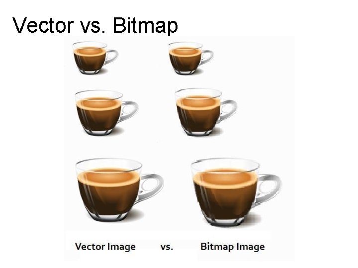 Vector vs. Bitmap 