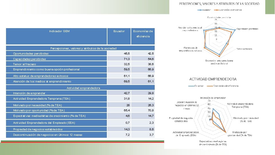 Indicador GEM Ecuador Economías de eficiencia Percepciones, valores y atributos de la sociedad Oportunidades