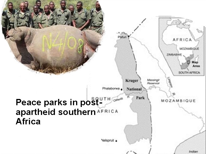 Peace parks in postapartheid southern Africa 