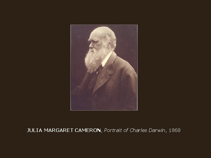 JULIA MARGARET CAMERON, Portrait of Charles Darwin, 1868 