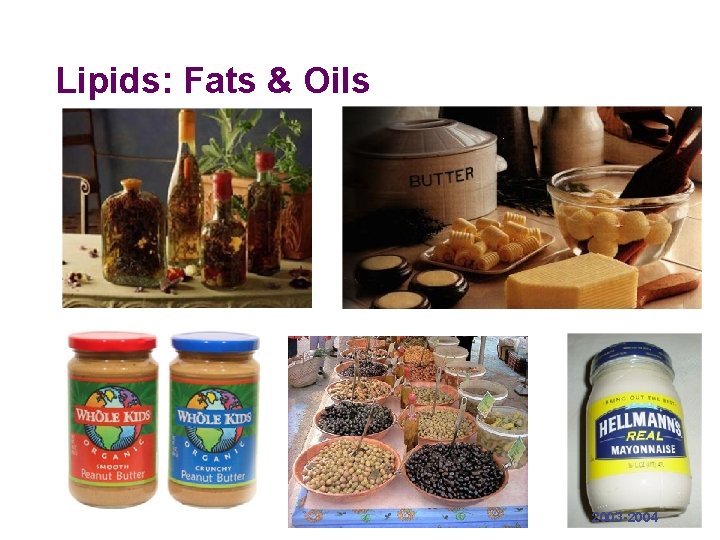 Lipids: Fats & Oils 2003 -2004 