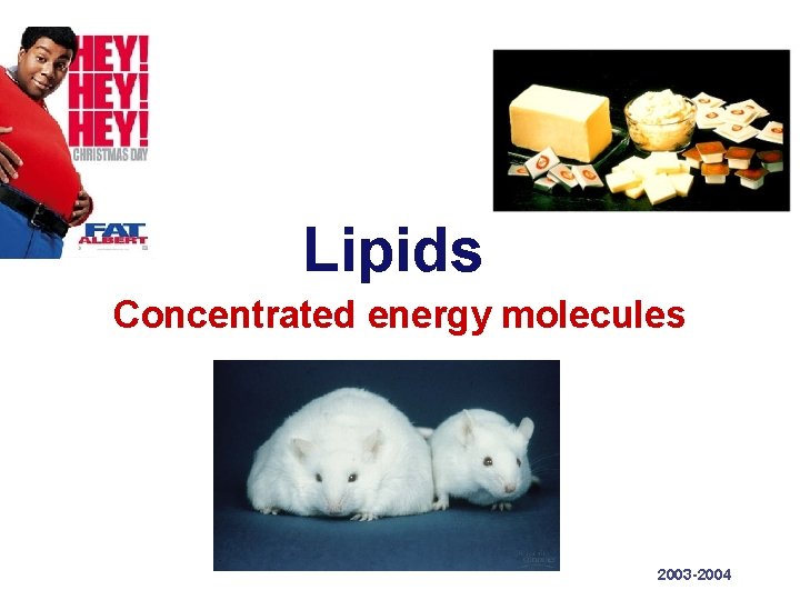 Lipids Concentrated energy molecules 2003 -2004 