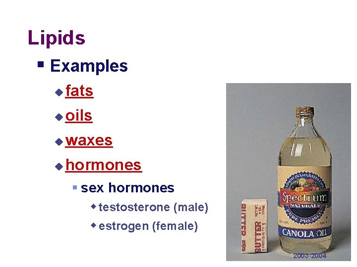 Lipids § Examples u fats u oils u waxes u hormones § sex hormones