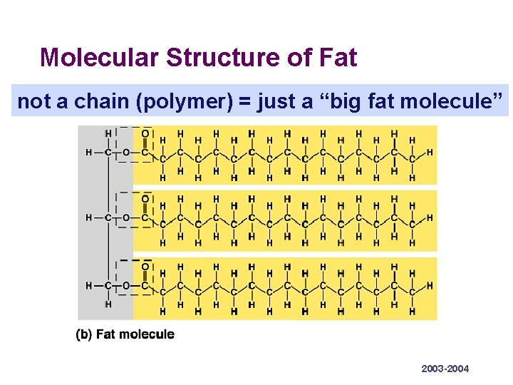 Molecular Structure of Fat not a chain (polymer) = just a “big fat molecule”