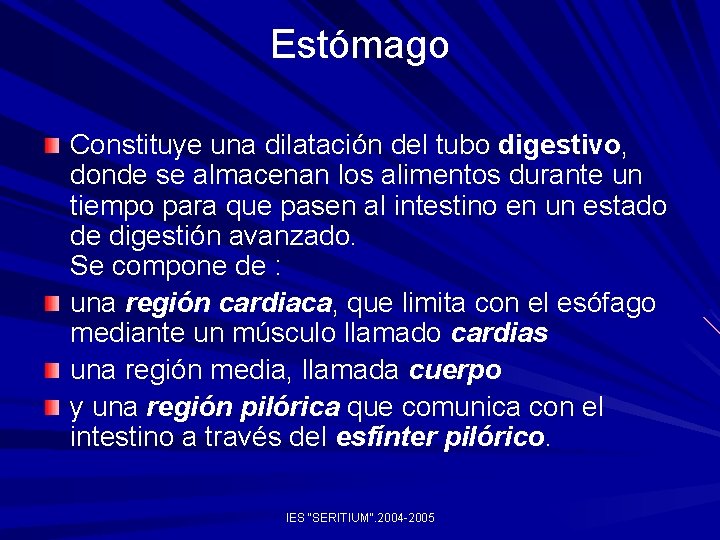 Estómago Constituye una dilatación del tubo digestivo, donde se almacenan los alimentos durante un