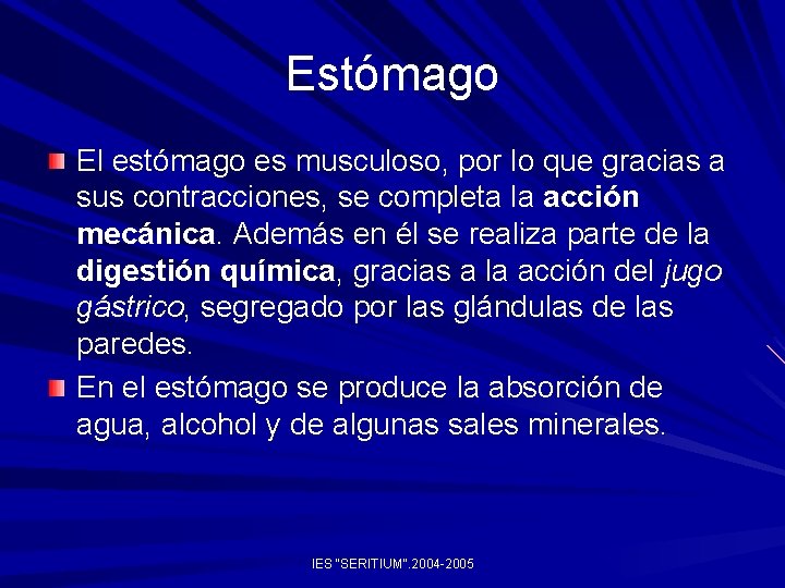 Estómago El estómago es musculoso, por lo que gracias a sus contracciones, se completa Estómago El estómago es musculoso, por lo que gracias a sus contracciones, se completa