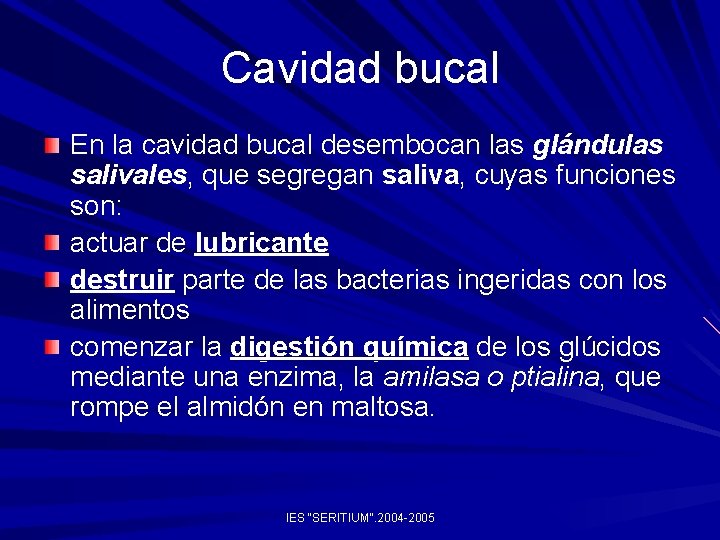 Cavidad bucal En la cavidad bucal desembocan las glándulas salivales, que segregan saliva, cuyas Cavidad bucal En la cavidad bucal desembocan las glándulas salivales, que segregan saliva, cuyas