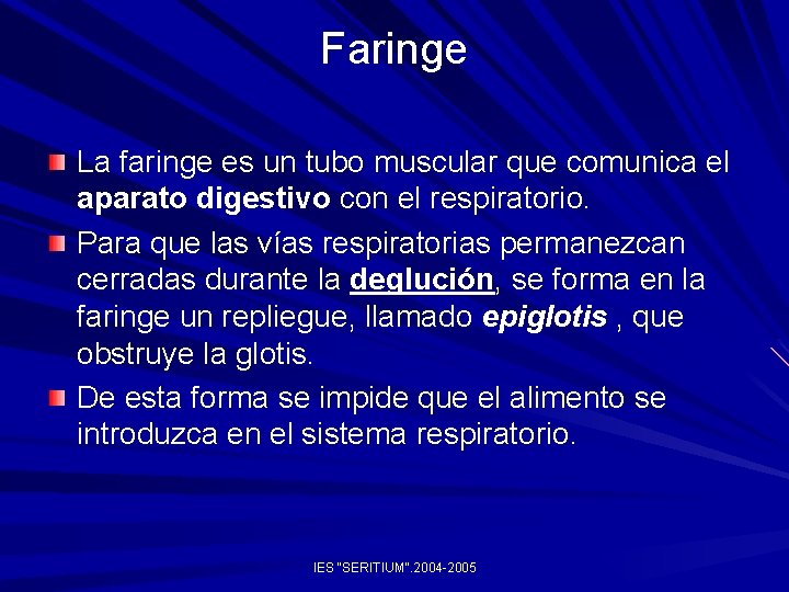 Faringe La faringe es un tubo muscular que comunica el aparato digestivo con el
