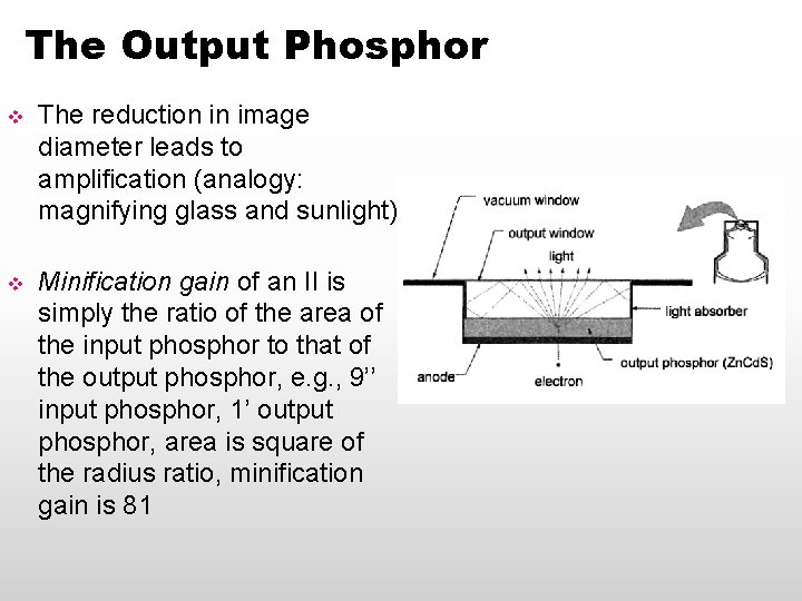 The Output Phosphor v The reduction in image diameter leads to amplification (analogy: magnifying