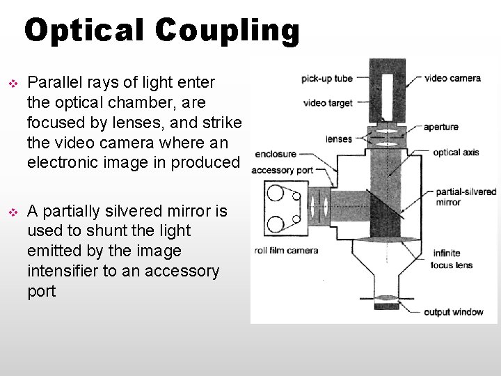 Optical Coupling v Parallel rays of light enter the optical chamber, are focused by