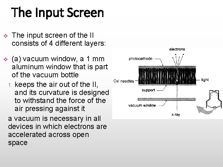 The Input Screen v The input screen of the II consists of 4 different