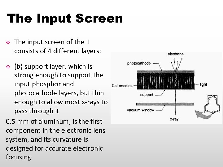 The Input Screen v The input screen of the II consists of 4 different