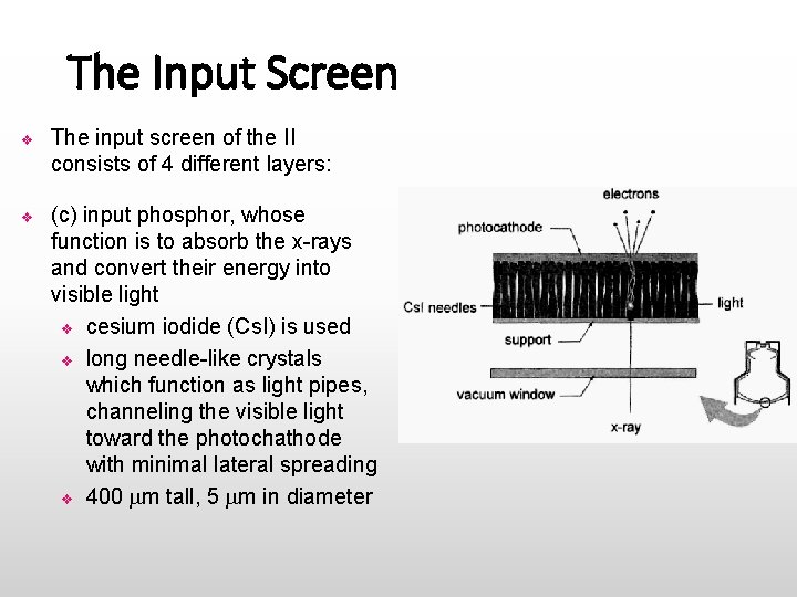 The Input Screen v The input screen of the II consists of 4 different