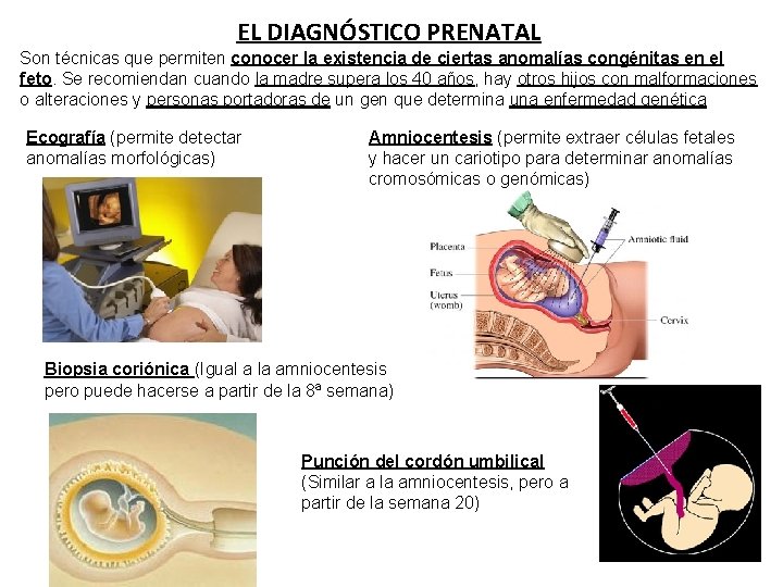 EL DIAGNÓSTICO PRENATAL Son técnicas que permiten conocer la existencia de ciertas anomalías congénitas