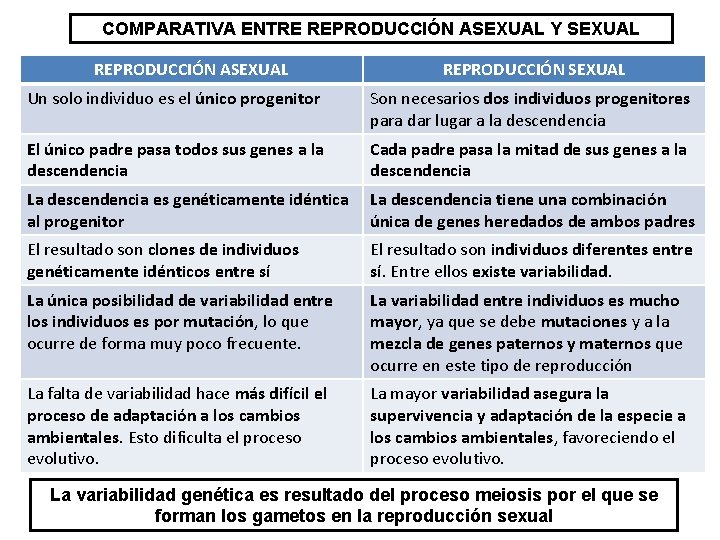 COMPARATIVA ENTRE REPRODUCCIÓN ASEXUAL Y SEXUAL REPRODUCCIÓN ASEXUAL REPRODUCCIÓN SEXUAL Un solo individuo es