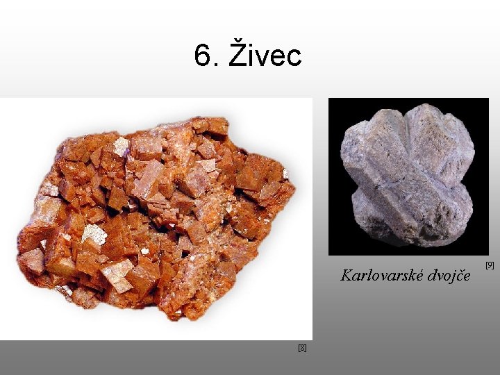 6. Živec Karlovarské dvojče [8] [9] 